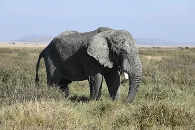 DSC_3843 (Large).JPG